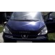 Дефлектор капота (мухобійка) для Peugeot 807 2002+ (VIP)