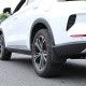 Бризковики для BYD Song Plus 2021+