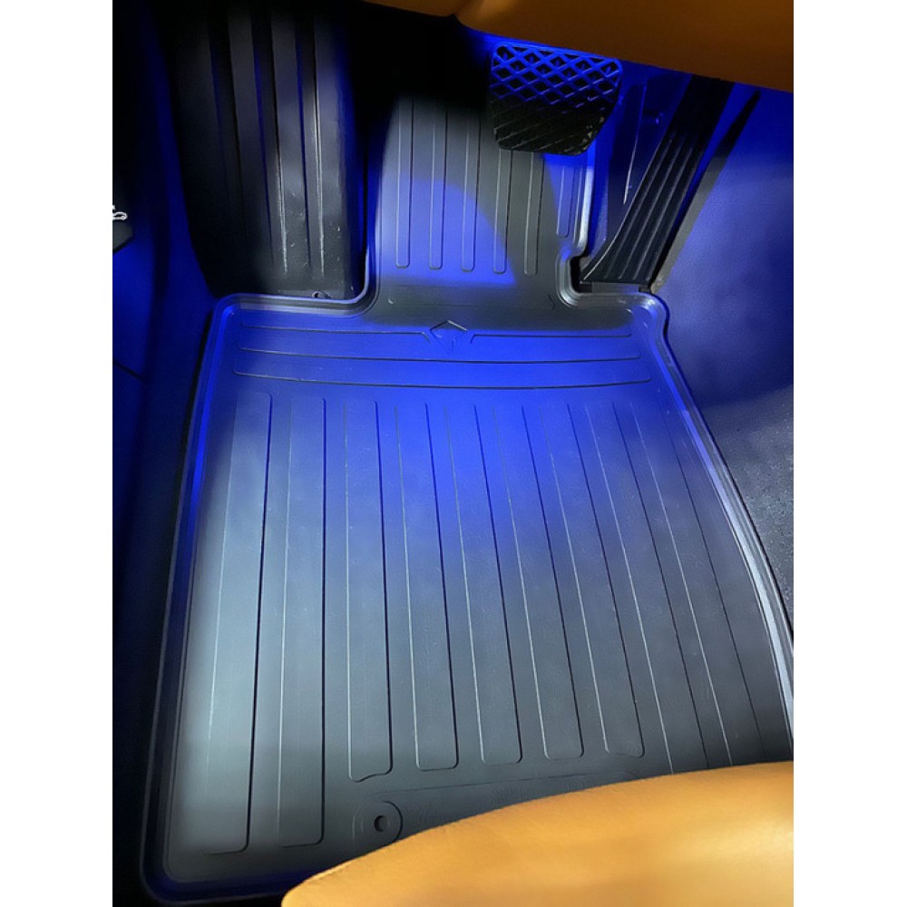 Гумові килимки BMW 7 (G12) (2019-...) комплект з 4 штук (Stingray)